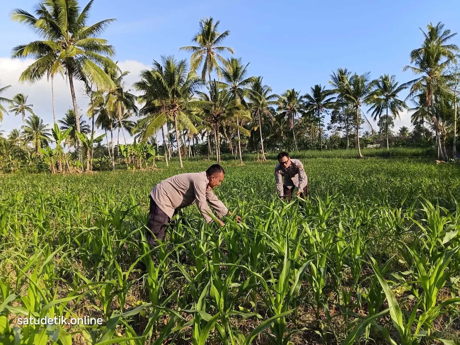 Bhabinkamtibmas Pasrujambe Turun ke Desa, Ketahanan Pangan Jadi Perhatian Polri